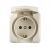 Socket Outlet Earthed - With  Cover 