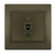 Numeric Telephone Socket Outlet (RJ11) -1 Gang