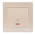 Two Way Switch - Illuminated